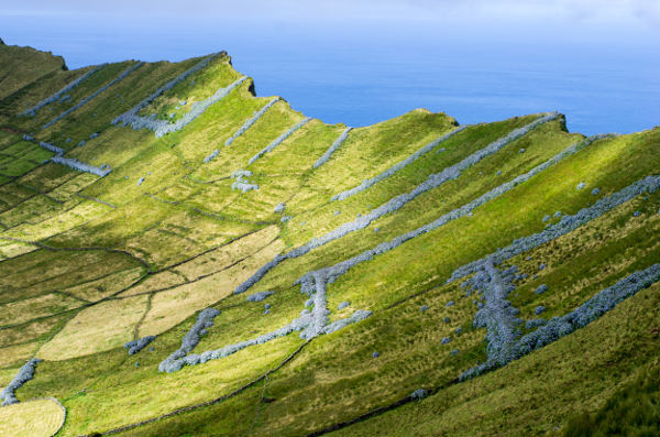Acores