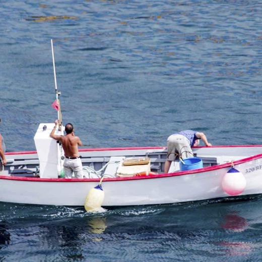Acores