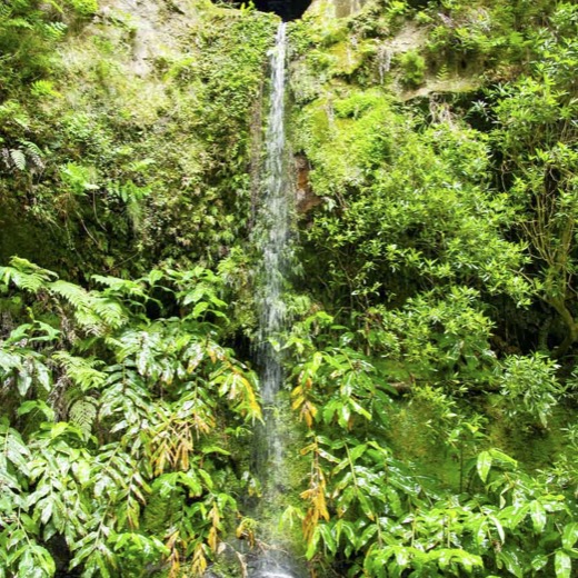 Acores