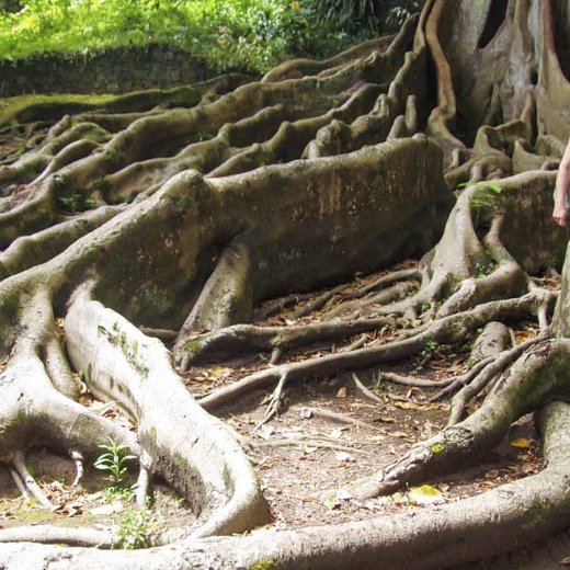 Acores