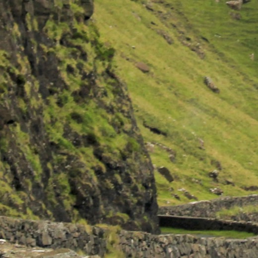 ECOSSE