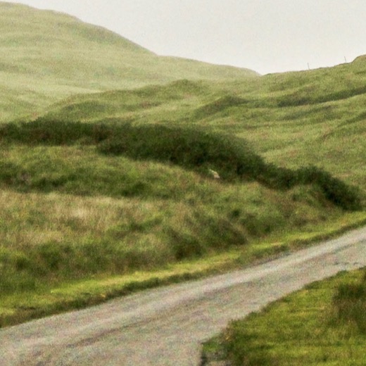 ECOSSE