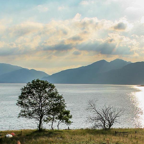 ECOSSE