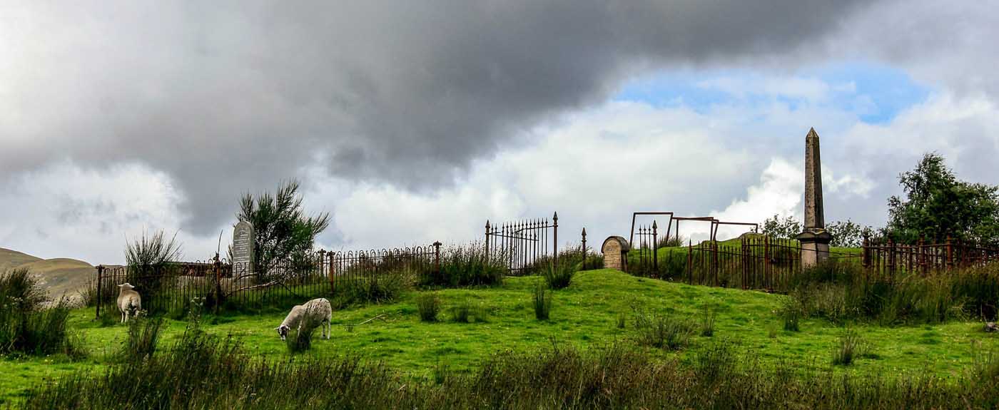 ECOSSE