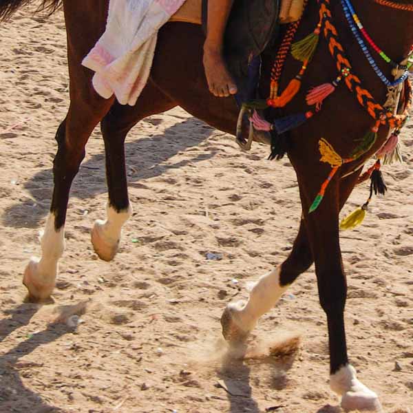JORDANIE