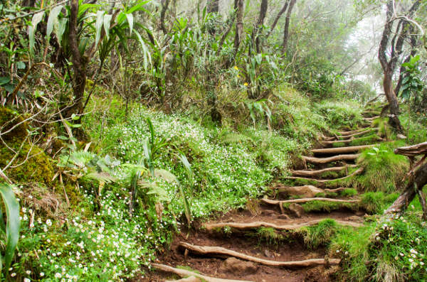 Réunion
